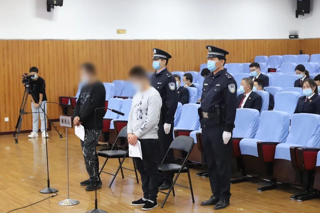 庭审直击非法猎捕是犯罪公益诉讼审判来亮剑