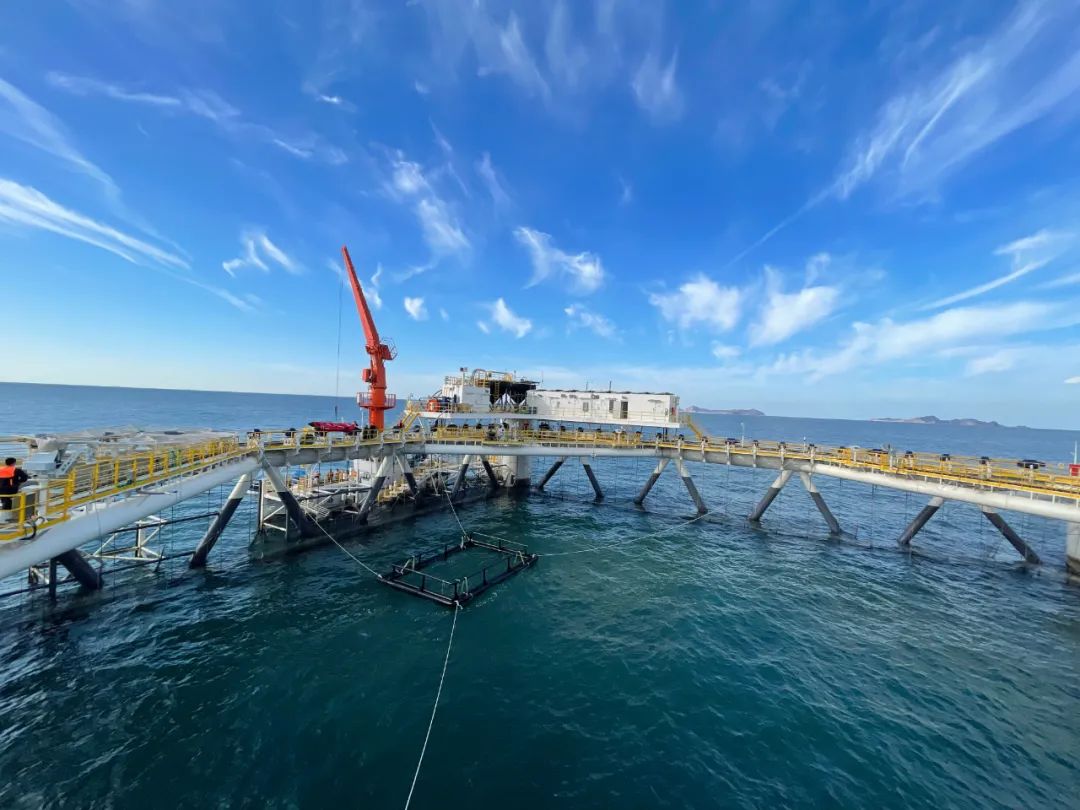 一次可以養魚1000噸,先進的智能化應用場景可以為深海養殖提供保姆式