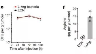 合成生物学助力对抗癌细胞，治疗效果显著提升