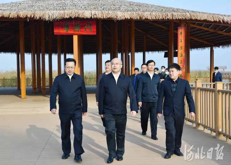 爱我雄安新区