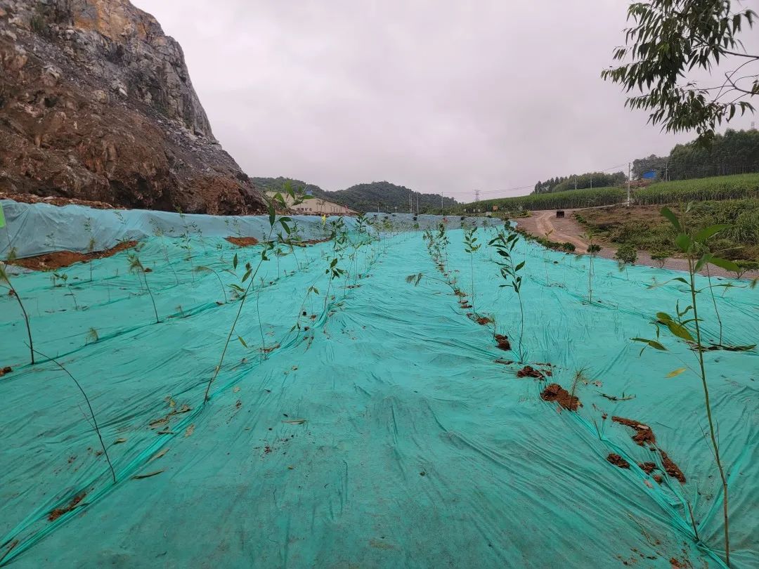 图文:韦济聪编辑:刘恩盛校对:李格格审核:华若涛监制:林童军投稿邮箱