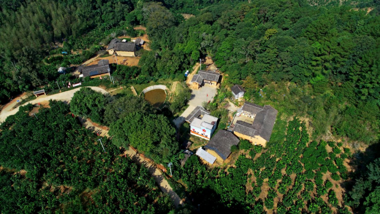 党史学习绝密使命这条鲜为人知的红色交通线为何被称作苏维埃的血脉