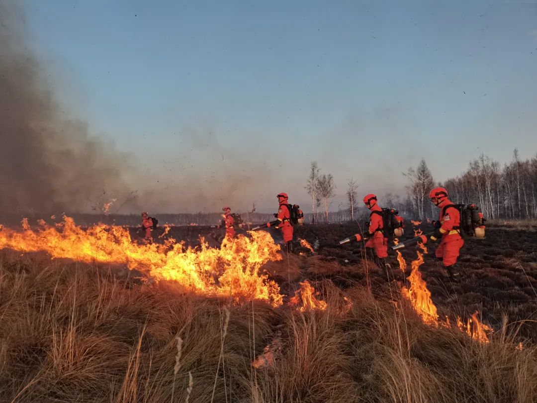 救援力量 | 森林火災防為先 黑龍江多地科學實施以火治火