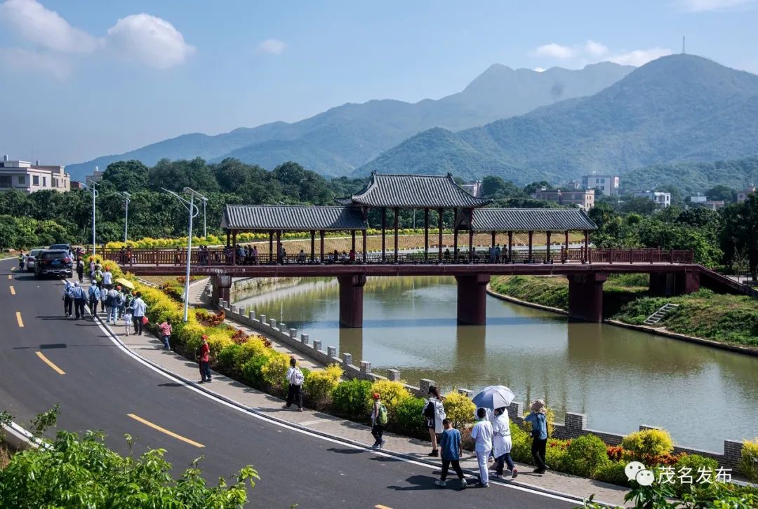 在根子镇桥头村和分界镇杏花村里,两村的新农村建设深深吸引了小记者