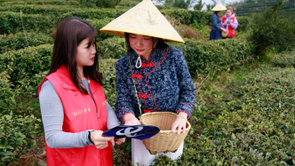 5G守护绿水青山！中国电信助力茶叶之乡打造智慧茶旅小镇
