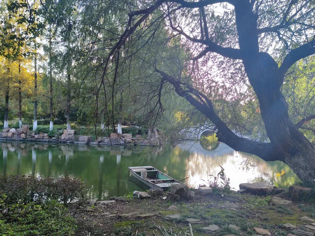 公園美景圖鑑廬江的秋日真美