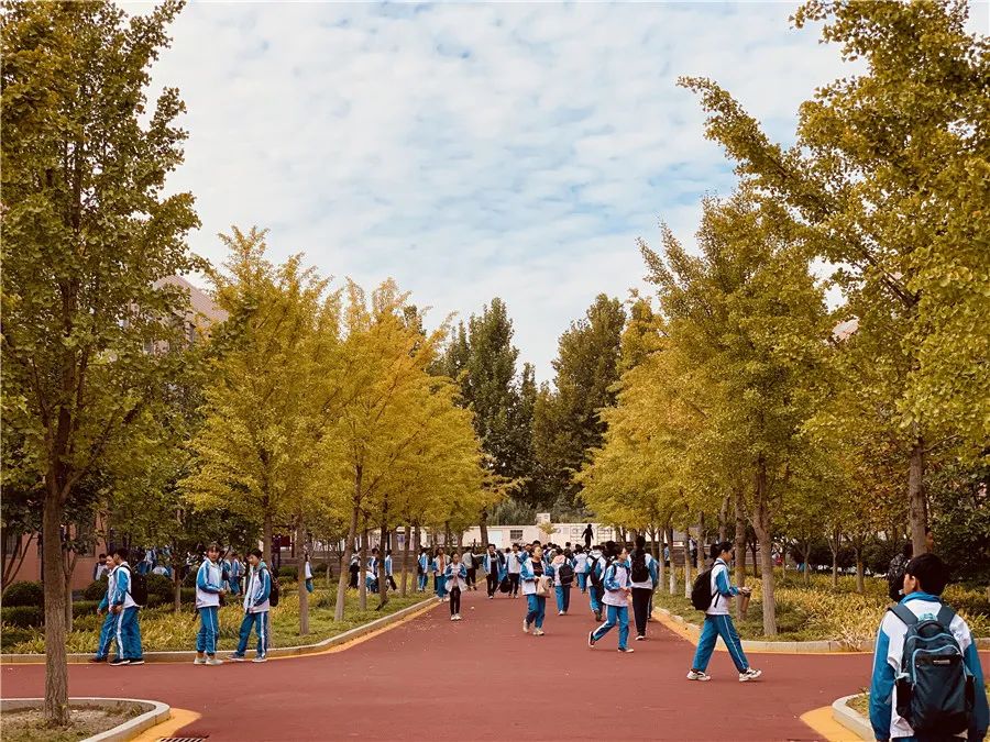 益都师范学校附属小学青州市东城学校潍坊锦程小学山东师范大学英才