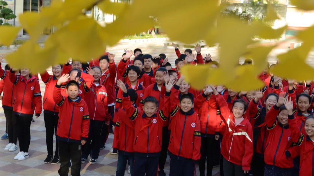 山東省益都師範學校附屬小學青州市東城學校濰坊錦程小學山東師範大學