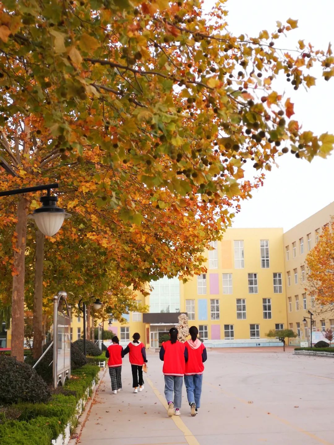 一初级中学青州市西苑小学山东省益都师范学校附属小学青州市东城学校