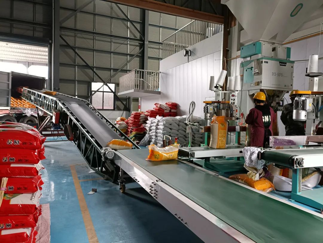 为全市的粮食供应保驾护航 走进定埠粮油加工厂 大米加工生产线正在