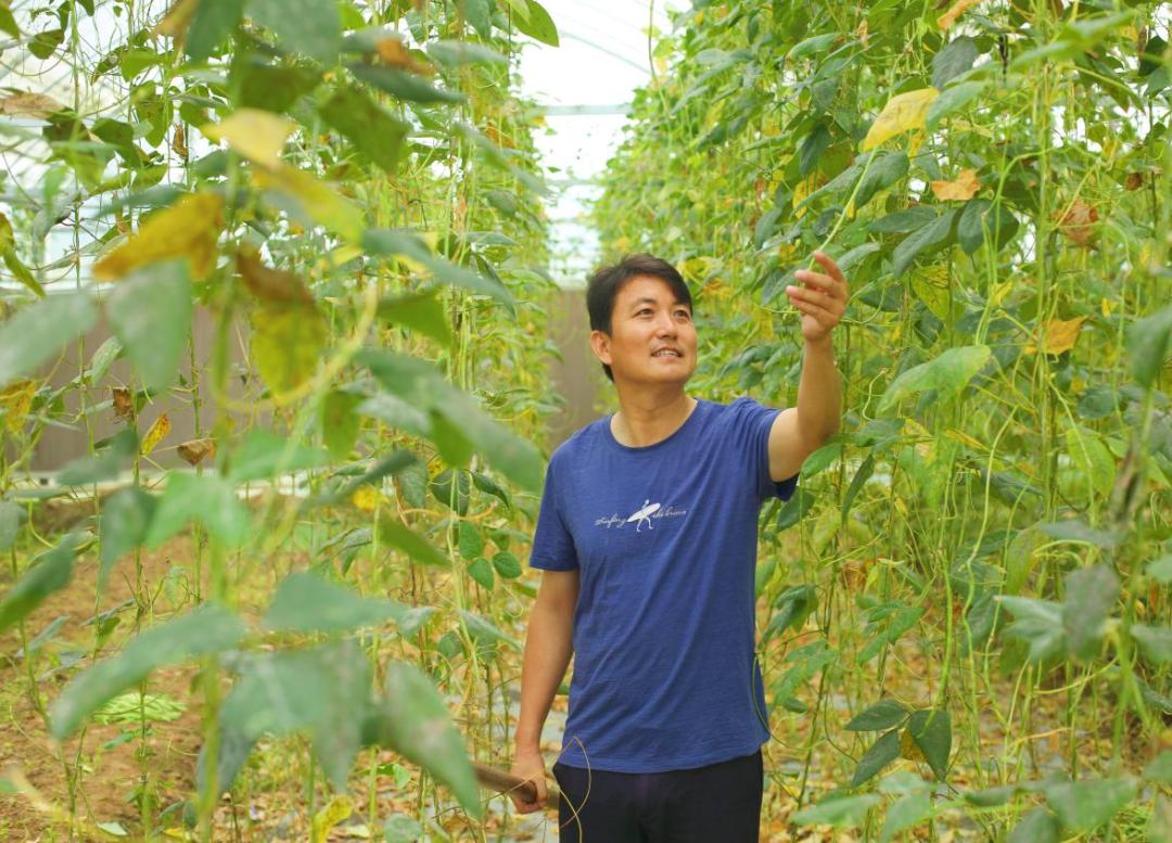 人物名片③卢攀峰,淮安区车桥镇丰年村党总支书记,村