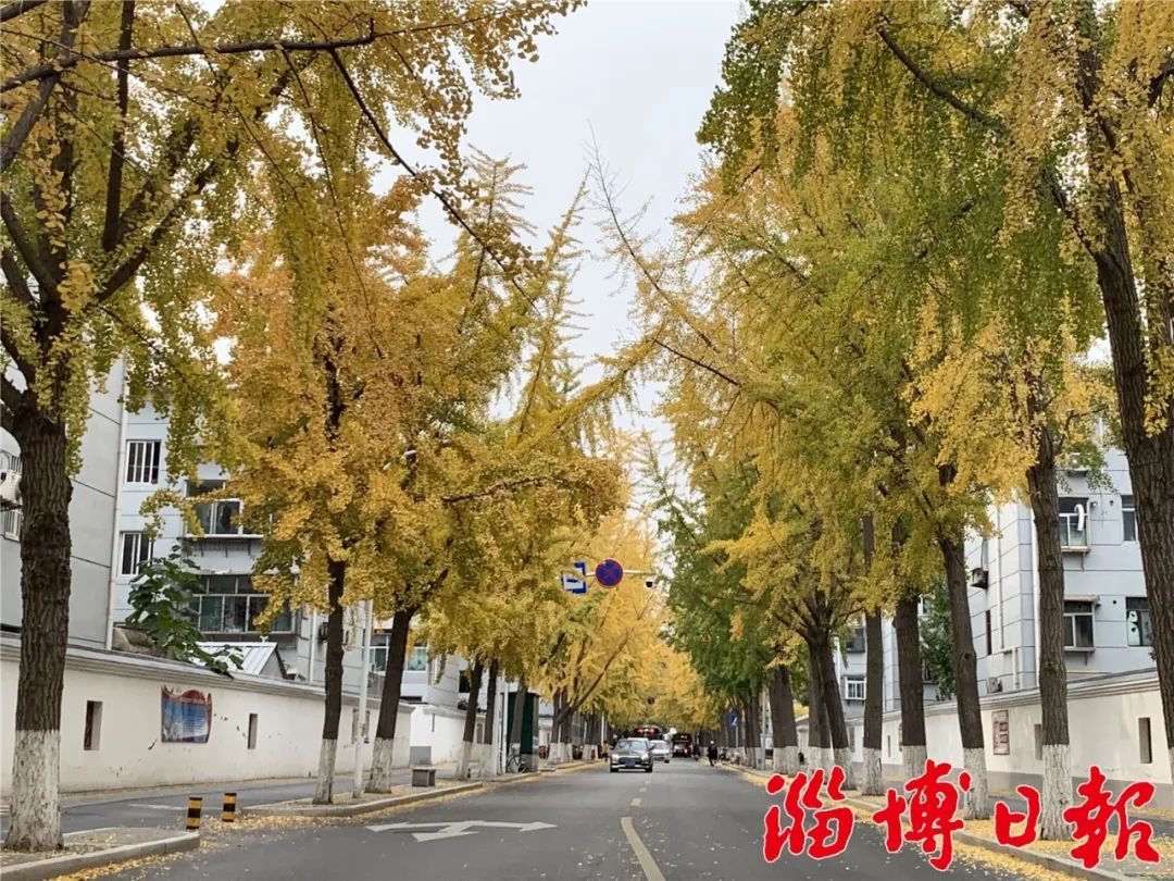 市府东一街 李凯摄