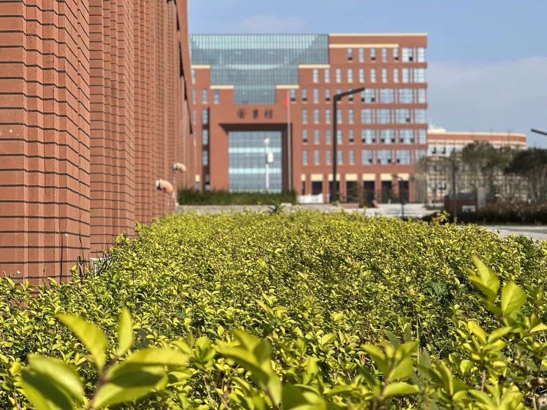 我遇见了青岛理工大学的秋hey你也来看