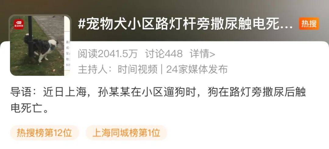 寵物狗路燈旁撒尿觸電死亡，主人向物業(yè)索賠，調(diào)解員：都有責(zé)任