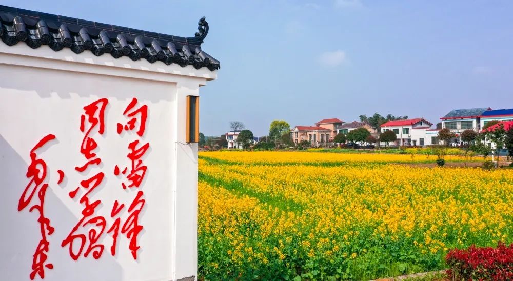 被誉为"雷锋精神发源地"是雷锋曾经奋斗过的地方乌山街道团山湖村旋转