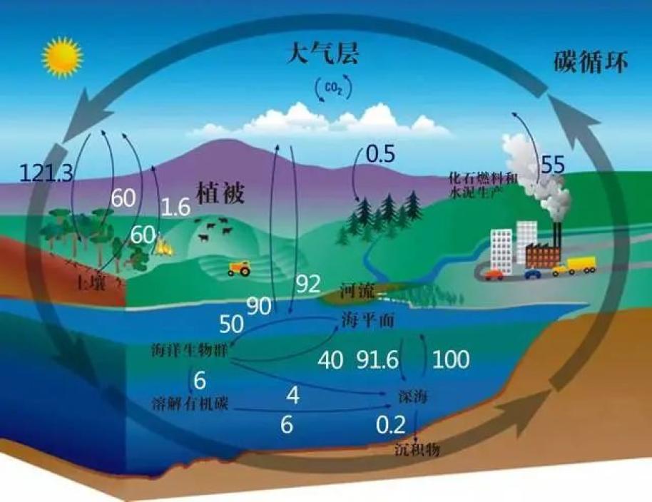 生态循环图解图片