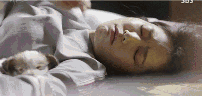 807.gif