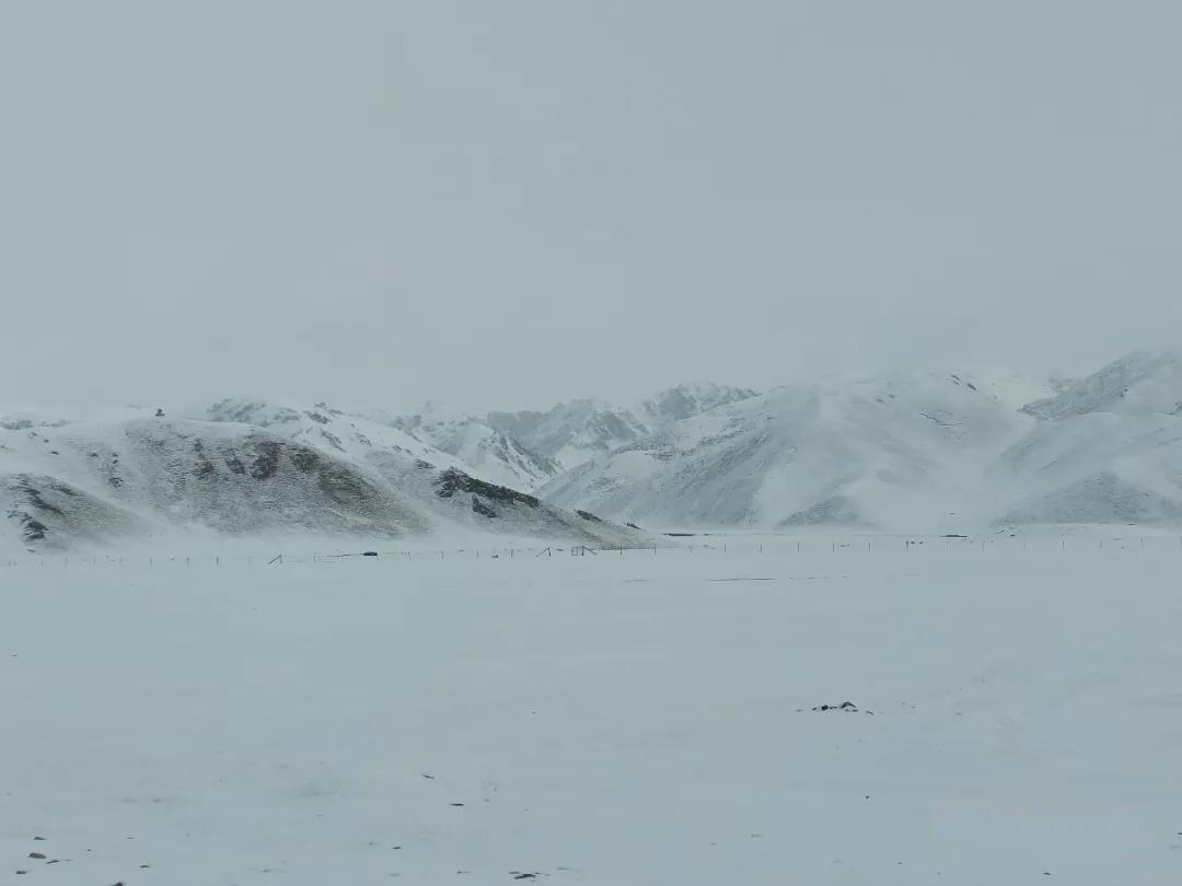 冷空气来袭,一车4人被困风吹雪