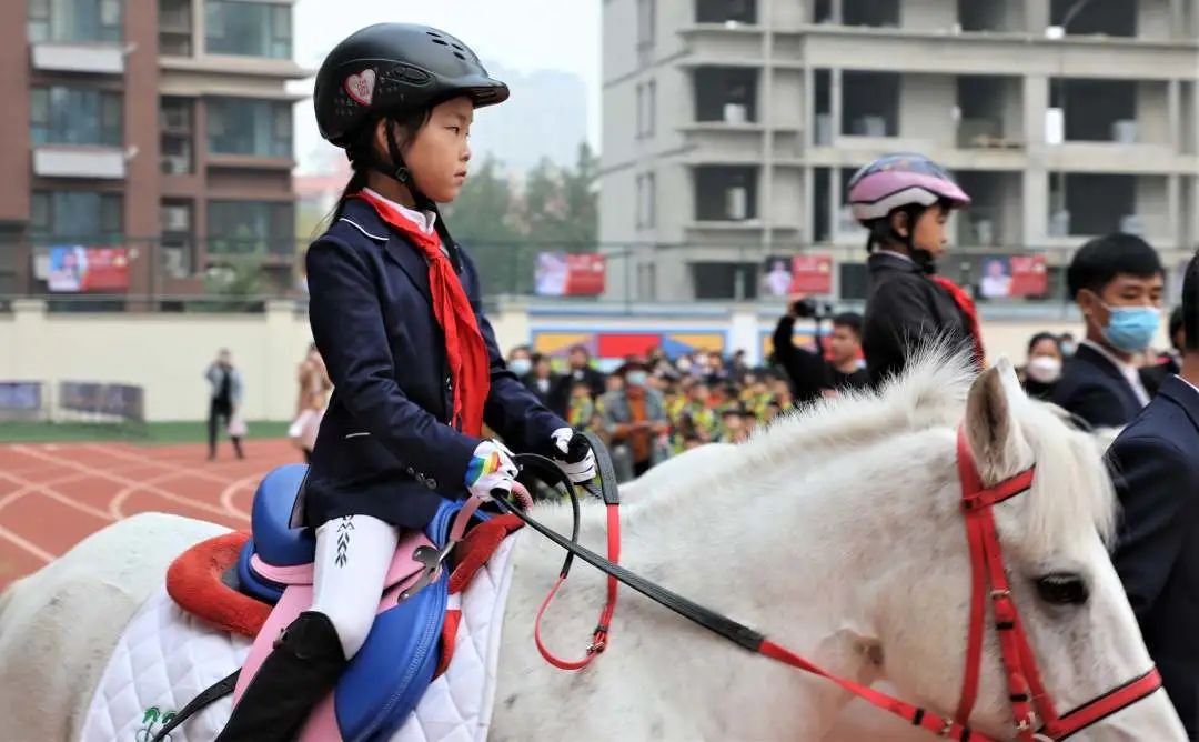 媒体看运河马术进校园快乐新体验迎宾路第二小学开展马术进校园活动
