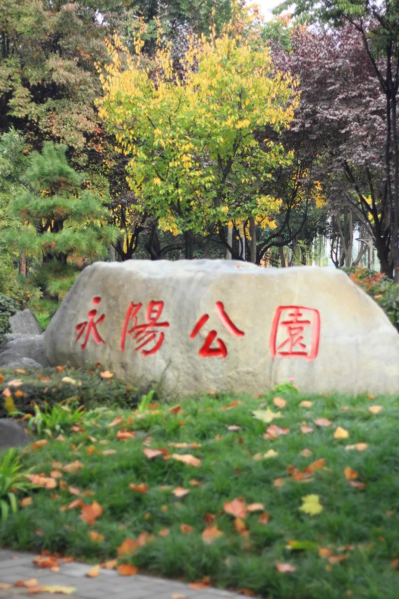 当永阳公园开启了秋色滤镜