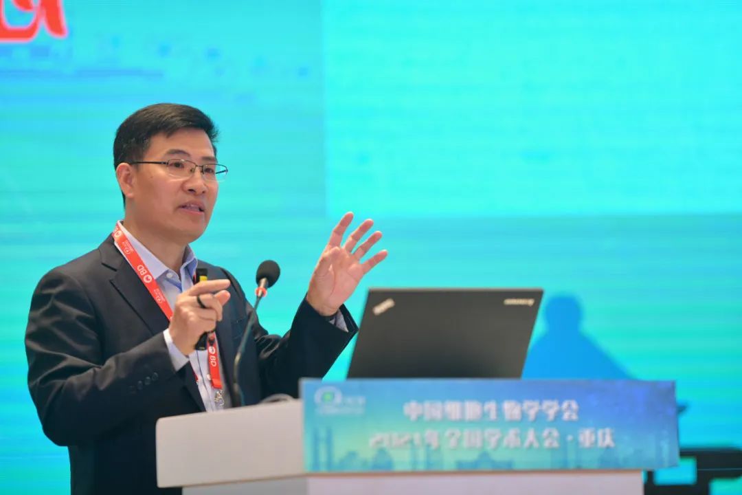 央视点赞同济大学高绍荣科研当然不是坦途唯有心怀家国才能笃定前行