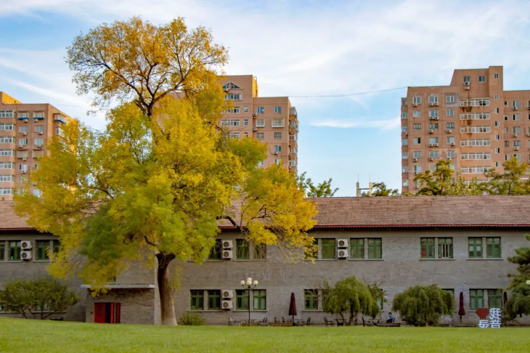 中传的秋有你真好ω