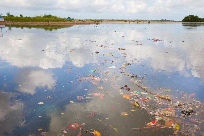 茂名保利东湾污染严重图片