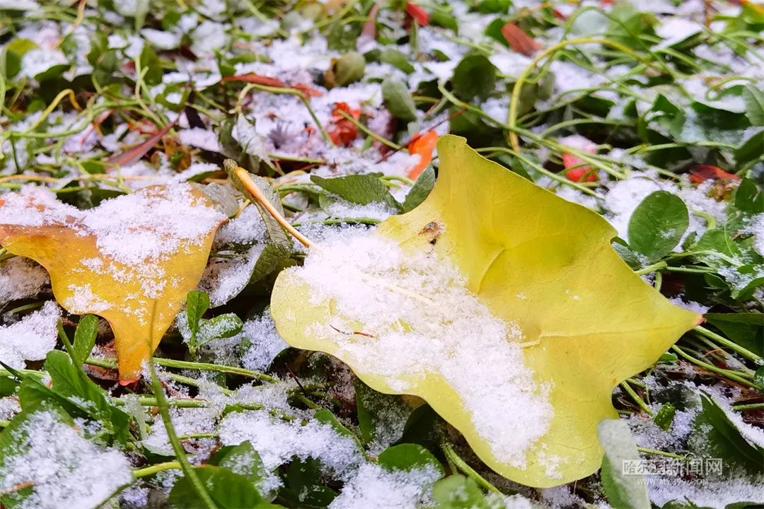 将出现暴雪及罕见雨雪冰冻天气伴随严重道路结冰雪阻低能见度及冻雨