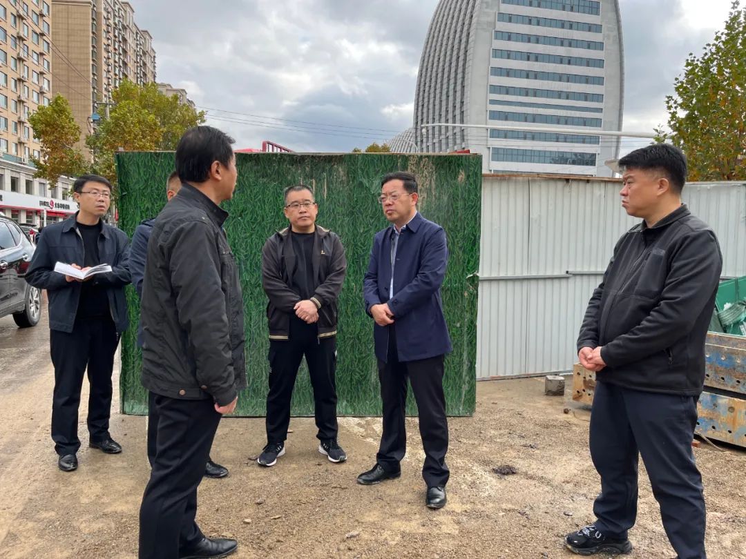 落实突破年奋进在博山博山区长路德芝现场调度推进市区