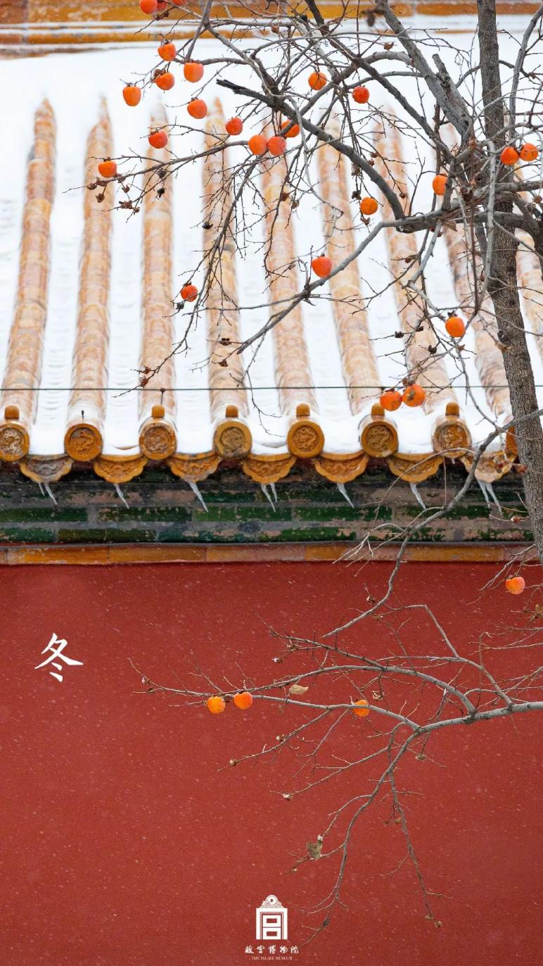 故宫雪景新片来了带你看紫禁城绝美四季