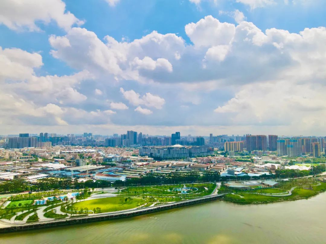 图/李新燕在澜石港和佛山新港滨水公共空间改造项目现场,郑轲详细了解