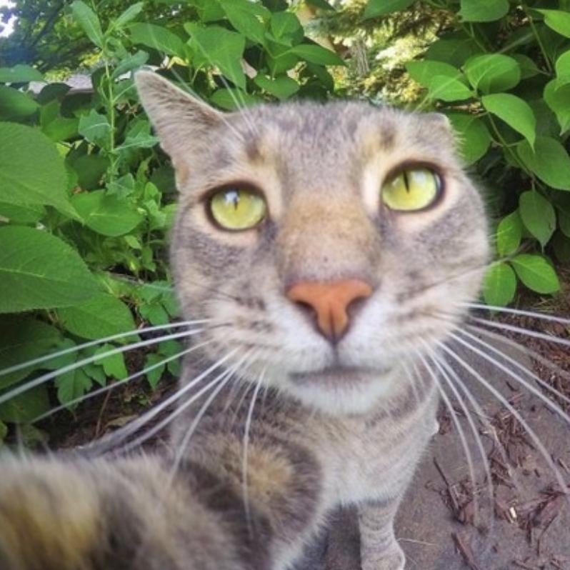 从一开始的怼脸拍,再到现在出片即是大眼小v脸,可以看出manny的自拍