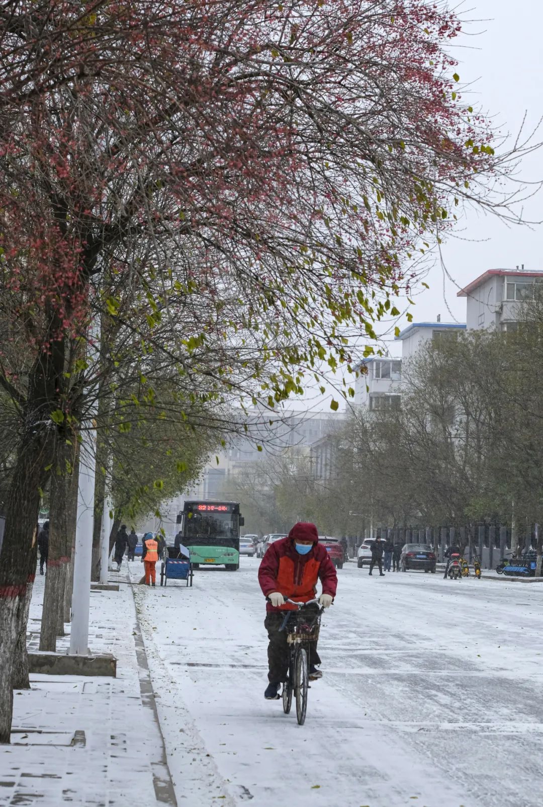 一波美圖來襲丨下雪了美景美圖