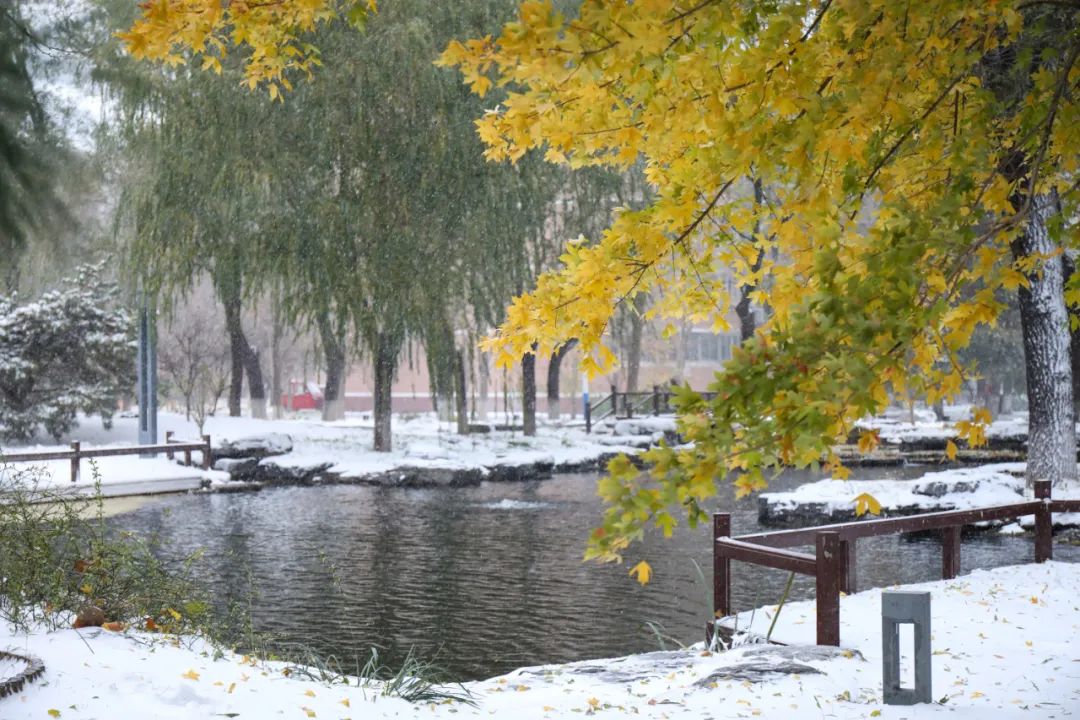 诗情众人垂看明德湖雪落无影围坐至善亭唤醒新日的欢欣褪散晨起的惺忪