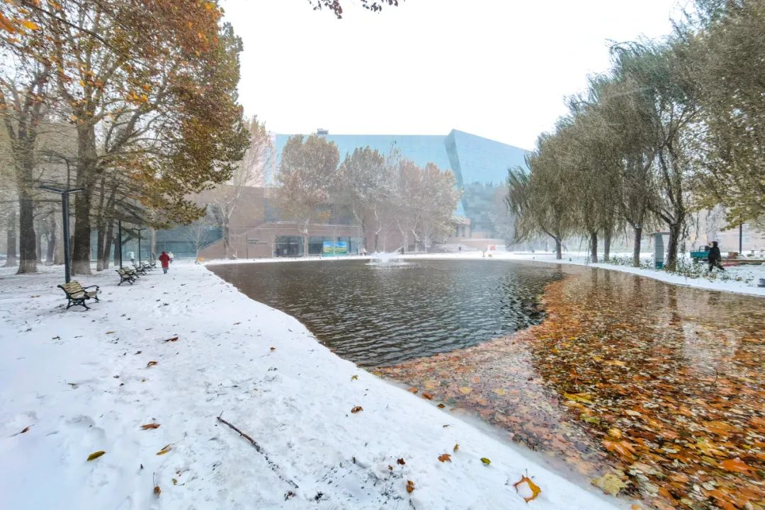 诗情众人垂看明德湖雪落无影围坐至善亭唤醒新日的欢欣褪散晨起的惺忪