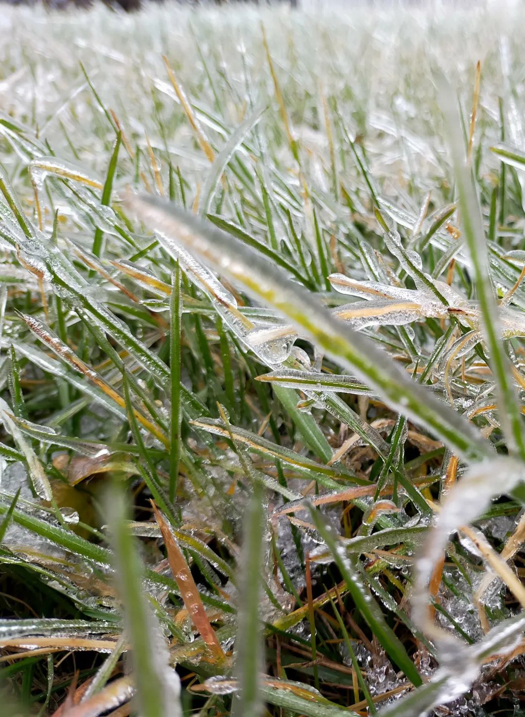 吉林省暴雪持续多地出现冻雨注意防范