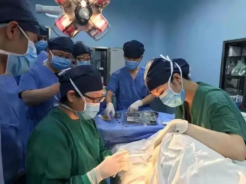 肛瘘镜有哪些品牌【学科建设】建设“一区一品牌”重点基地 打造高品质医院_https://www.jmylbn.com_新闻资讯_第4张