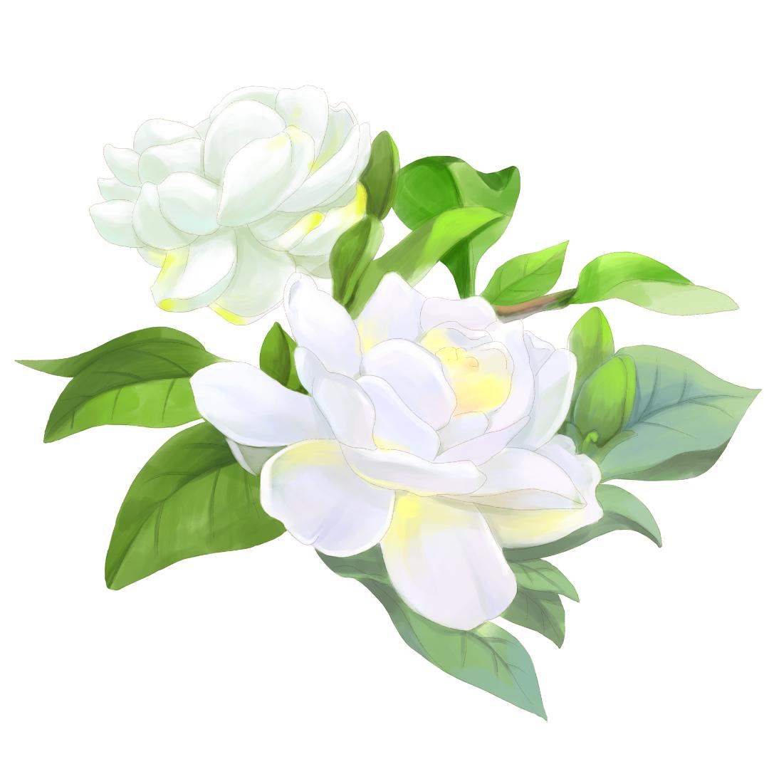 盛 夏:栀子花开等阳光变得强烈,空气变得炽热,院子里也开始草木茂盛