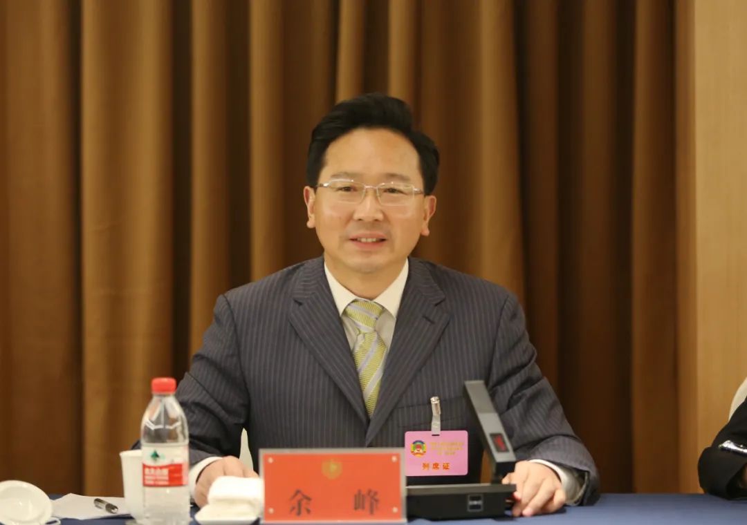 市委书记余峰参加政协分组讨论