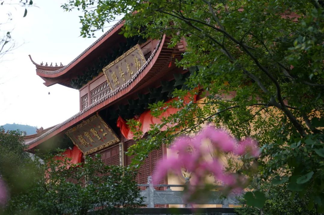 长兴龙华寺长兴县委统战部副部长,民宗局局长王春强为素食烹饪培训班