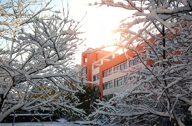 美爆了潍坊各中小学校2021年雪景大赏哪所才是你心里的no1