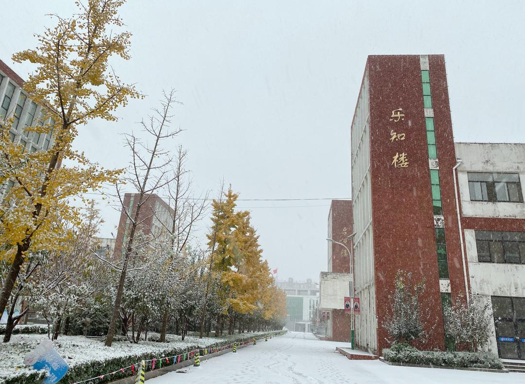 临朐县东城街道文汇小学dashu临朐县城关中学dashu昌邑市市立幼儿园