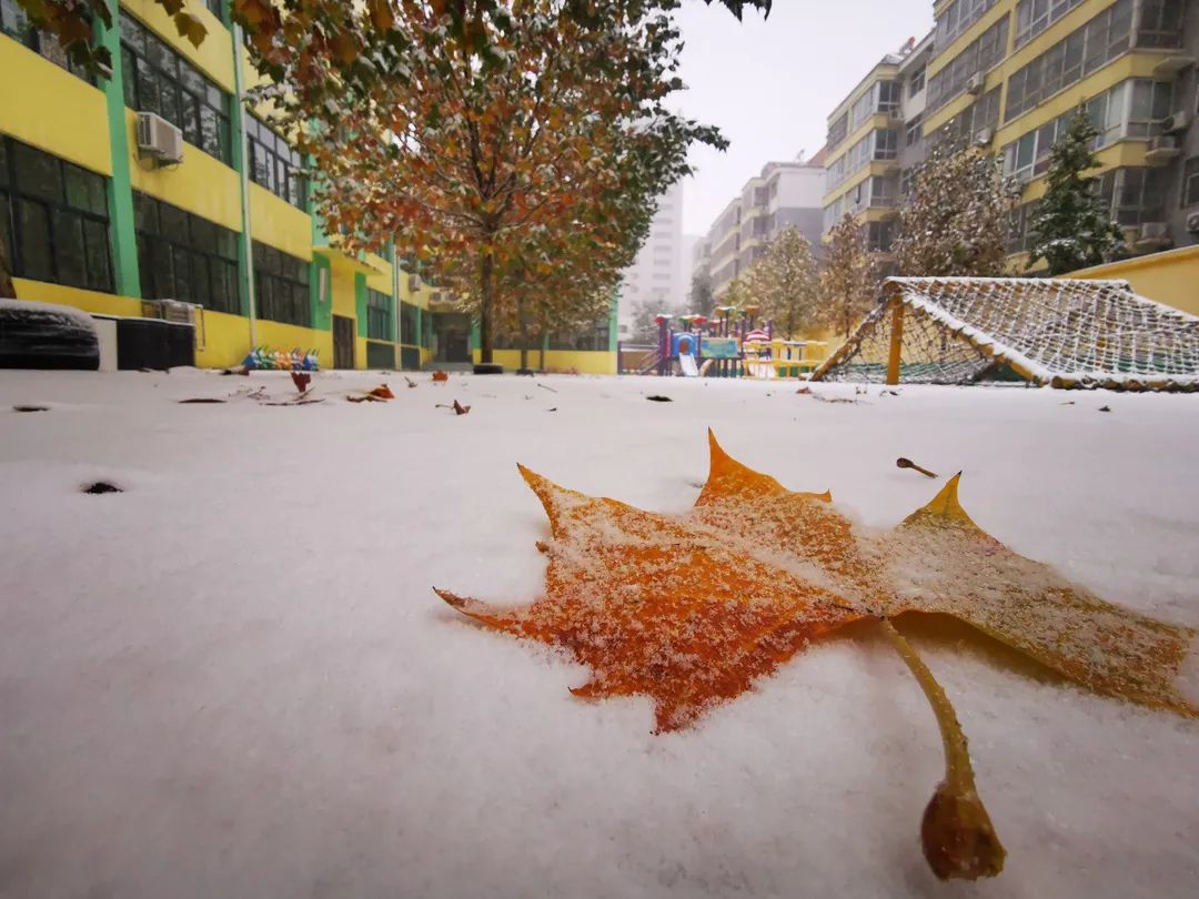 昌樂縣站前街幼兒園昌樂齊都實驗學校昌樂二中臨朐縣朐陽學校臨朐縣