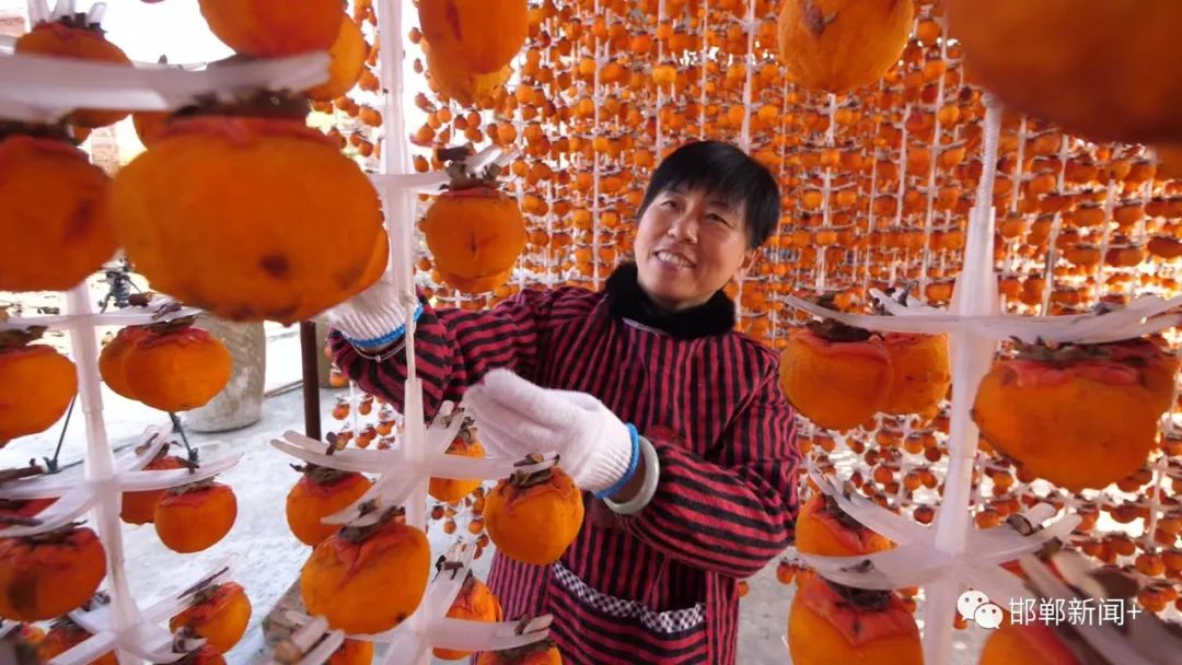 磁县红红火火晒柿饼