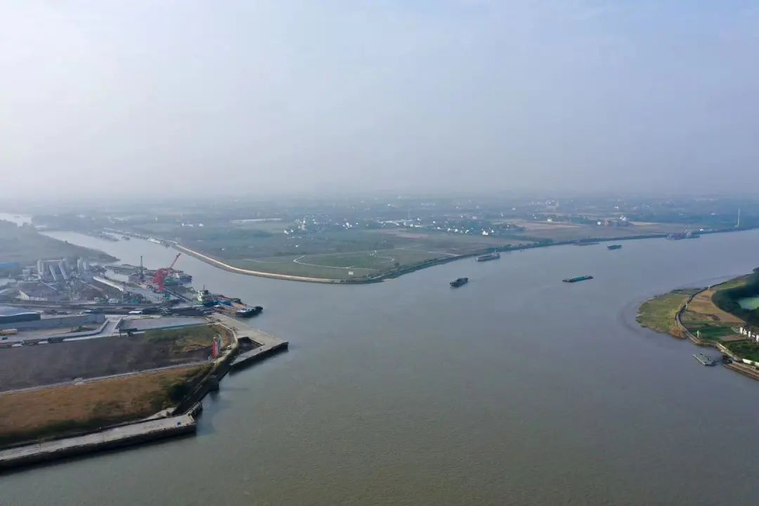 西渡街道全面推进浦南滨江生态商务区建设打响浦江第一湾城市品牌迎接