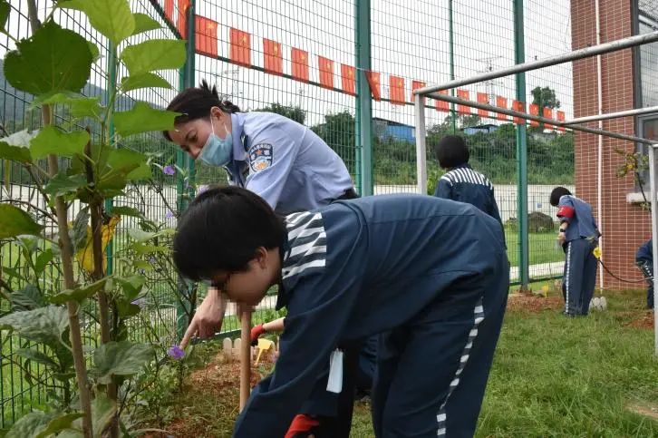 镇江句容女子监狱图片