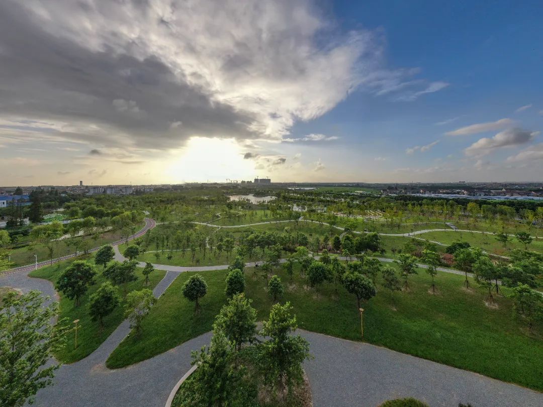 奉城公园 产业兴旺发展