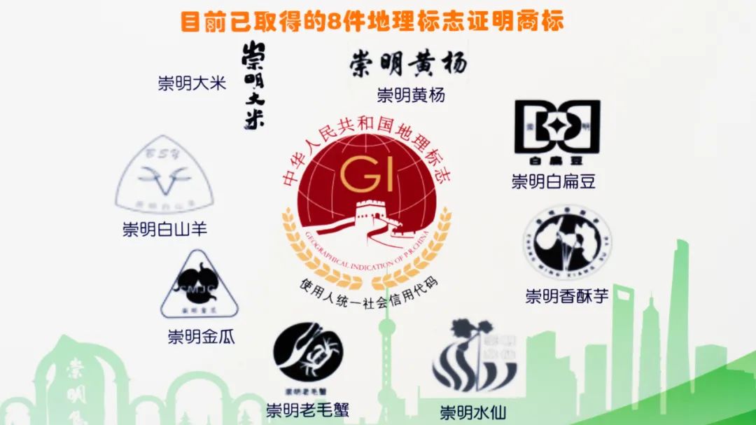 其中地理标志商标18件,地理标志保护产品8件,农产品地理标志15件,主要