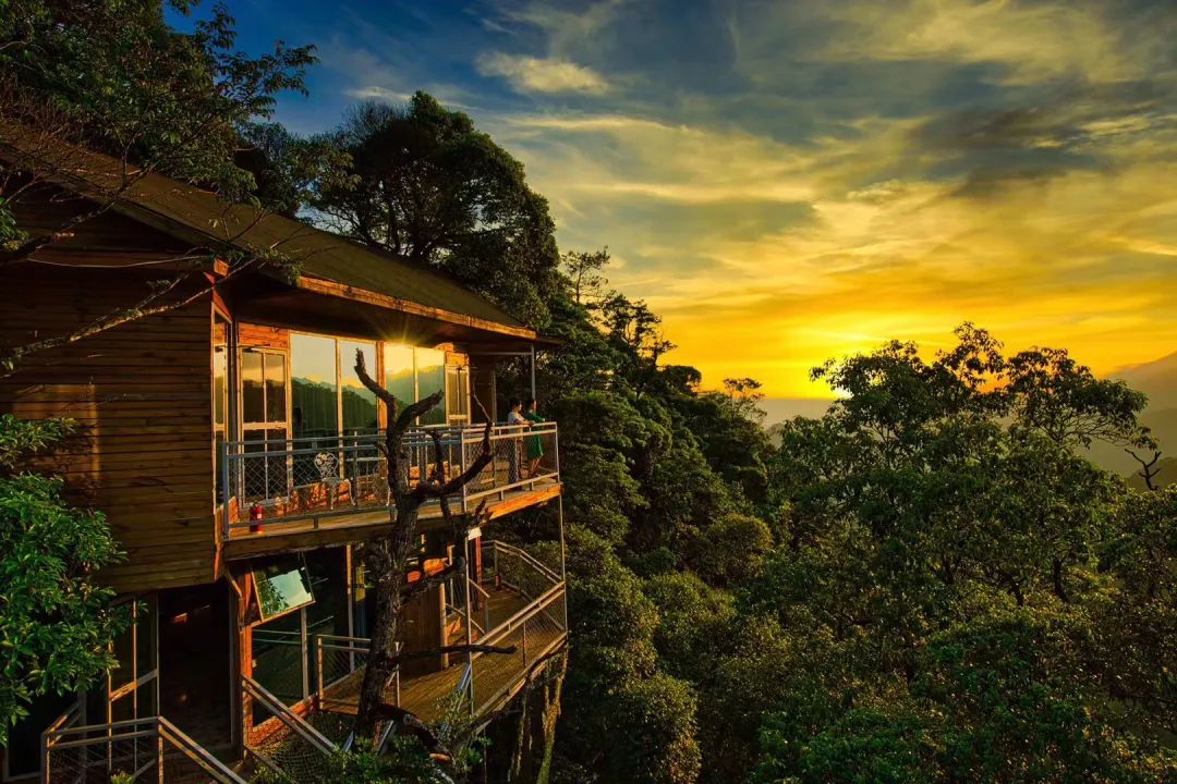 平阳三家巾帼民宿入选首批温州市"侨家乐"品牌民宿名单!快来一睹芳容!