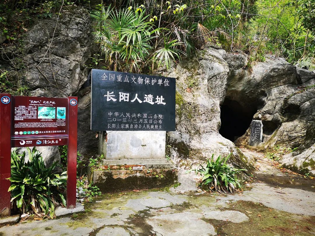 "长阳人"遗址位于长阳土家族自治县大堰乡钟家湾村,是全国重点文物